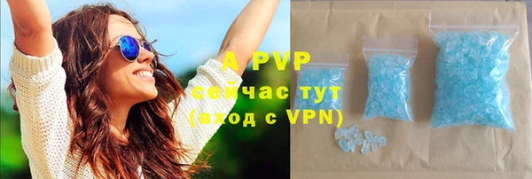 индика Армянск