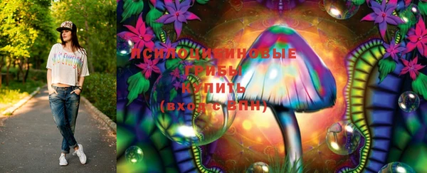 ГАЛЛЮЦИНОГЕННЫЕ ГРИБЫ Балабаново