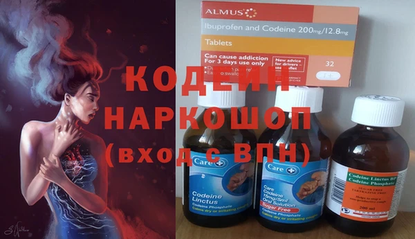 индика Армянск